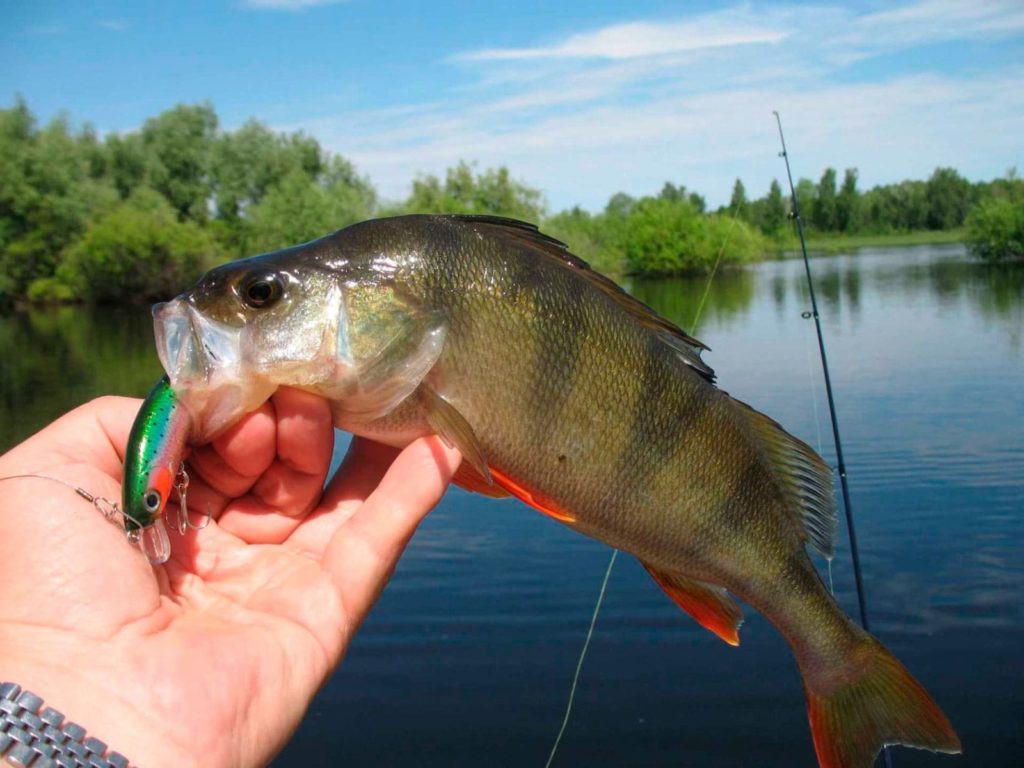 Рыбалка в Краснодарском крае
